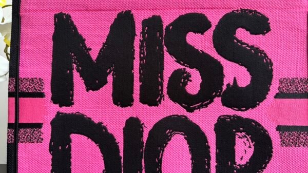 Large Dior Book Tote Fuchsia