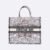 M1296ZEDO_M941-1-L (1) Large Dior Book Tote
