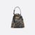 Small C'est Dior Bag Blue Dior Oblique Jacquard Bucket bag