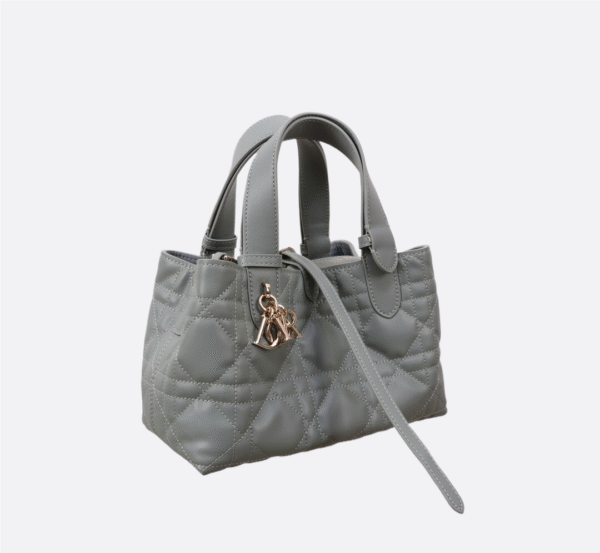 Small Dior Toujours Bag Gray
