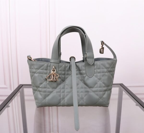 Small Dior Toujours Bag Gray