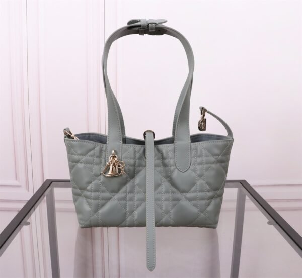 Small Dior Toujours Bag Gray