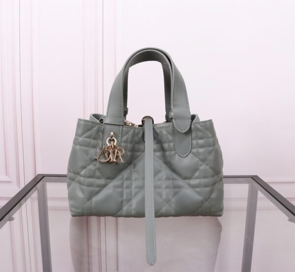 Small Dior Toujours Bag Gray