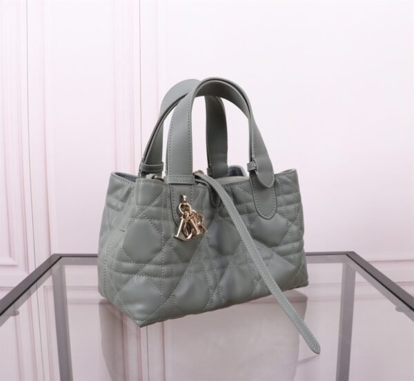 Small Dior Toujours Bag Gray