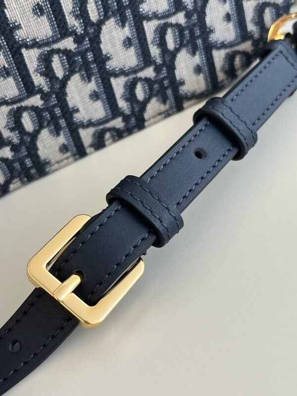 Mini Dior CD Signature Messenger Oblique Motif Canvas Blue