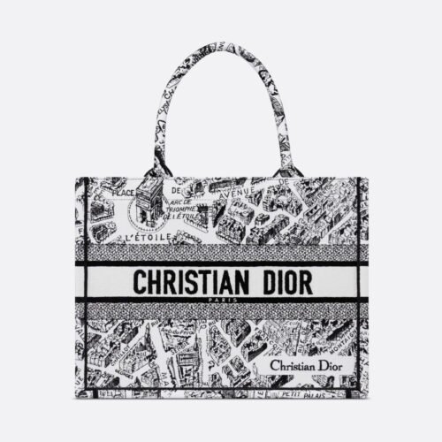 Paris map (1) Medium Dior Book Tote Paris map