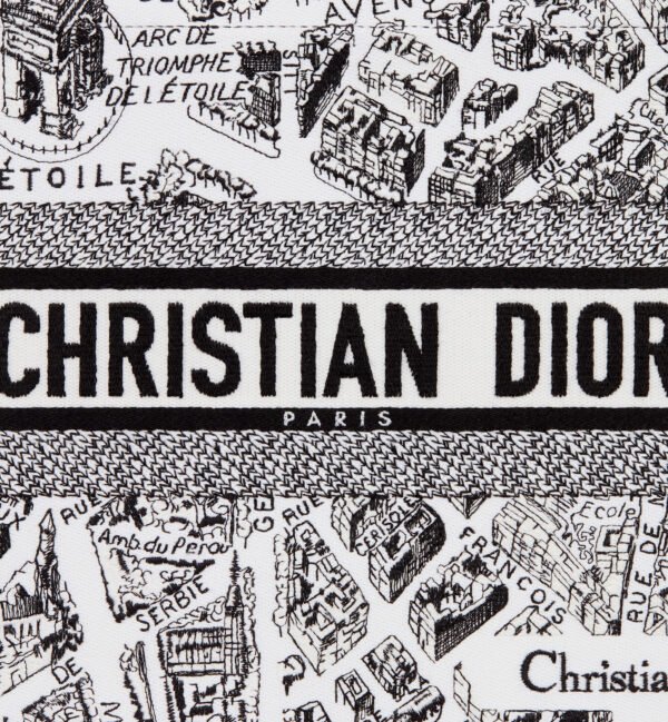 Medium Dior Book Tote Paris map