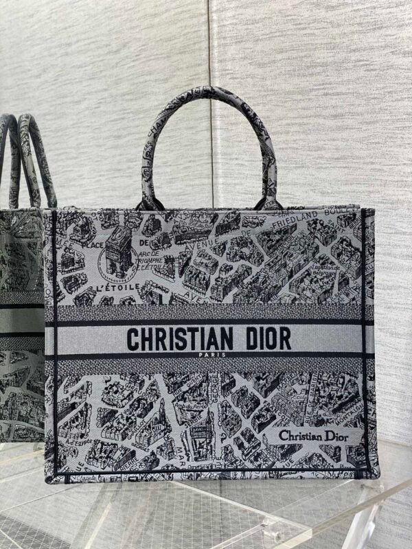 Large Dior Book Tote Paris map