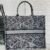 Large Dior Book Tote Paris map