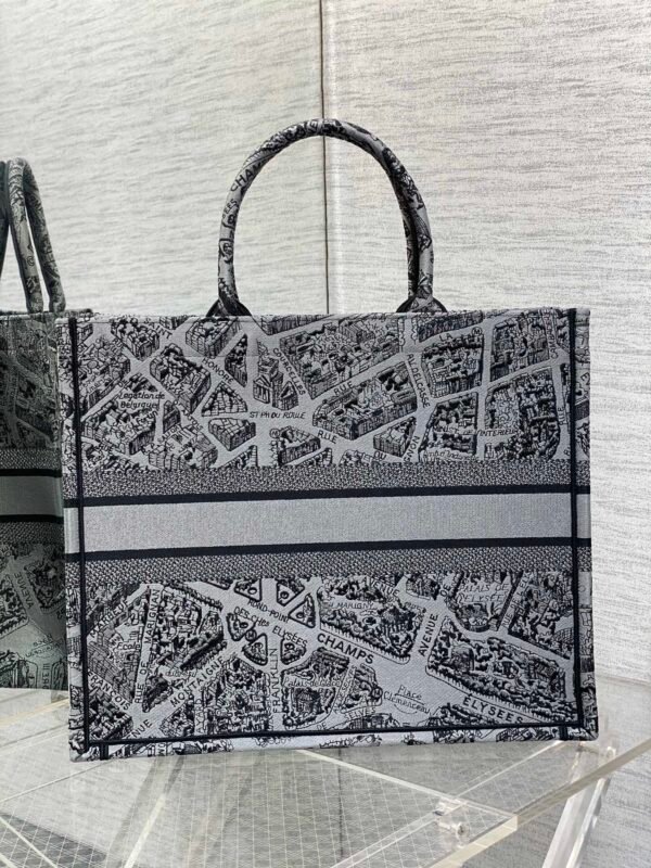 Large Dior Book Tote Paris map