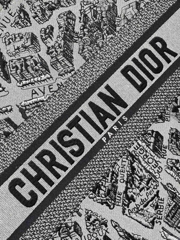 Large Dior Book Tote Paris map