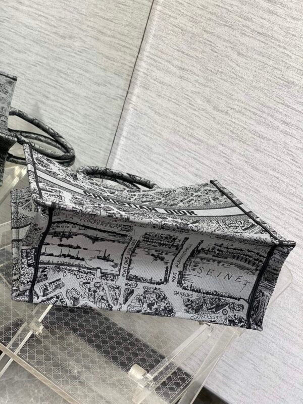 Large Dior Book Tote Paris map