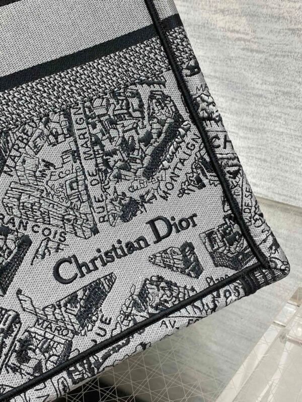Large Dior Book Tote Paris map