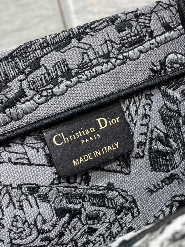 Large Dior Book Tote Paris map