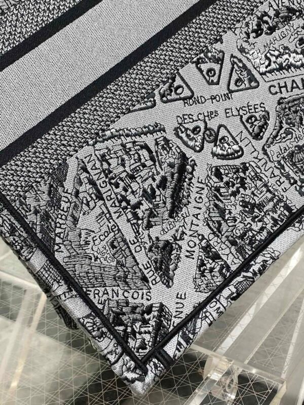 Large Dior Book Tote Paris map
