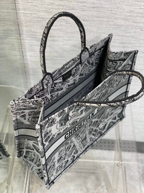 Large Dior Book Tote Paris map