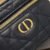 Dior Caro Mini Vanity Case