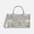 Mini Dior Book Tote Grey