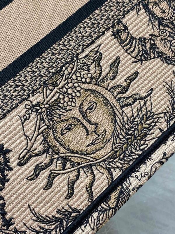 Small Dior Book Tote-006 (6) Small Dior Book Tote