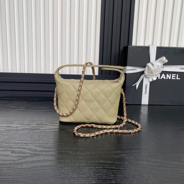 Brand New Chanel 25c Hobo Bag