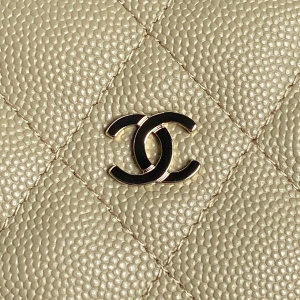 Brand New Chanel 25c Hobo Bag