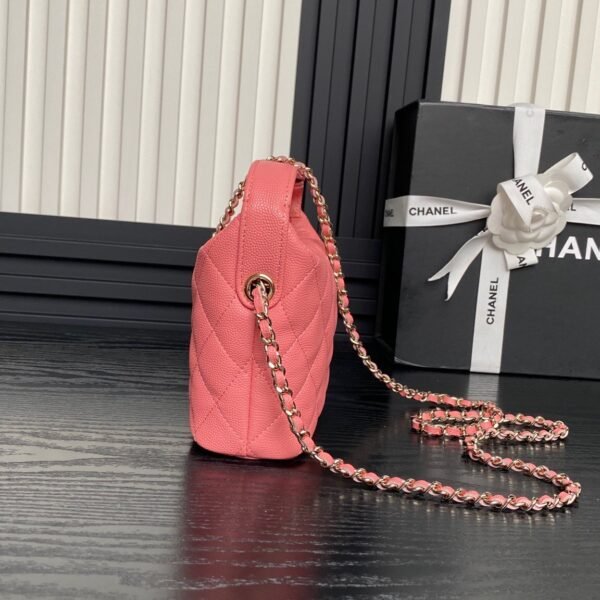 Brand New Chanel 25c Hobo Bag