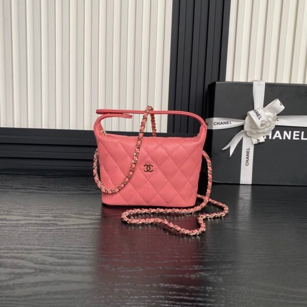 Brand New Chanel 25c Hobo Bag
