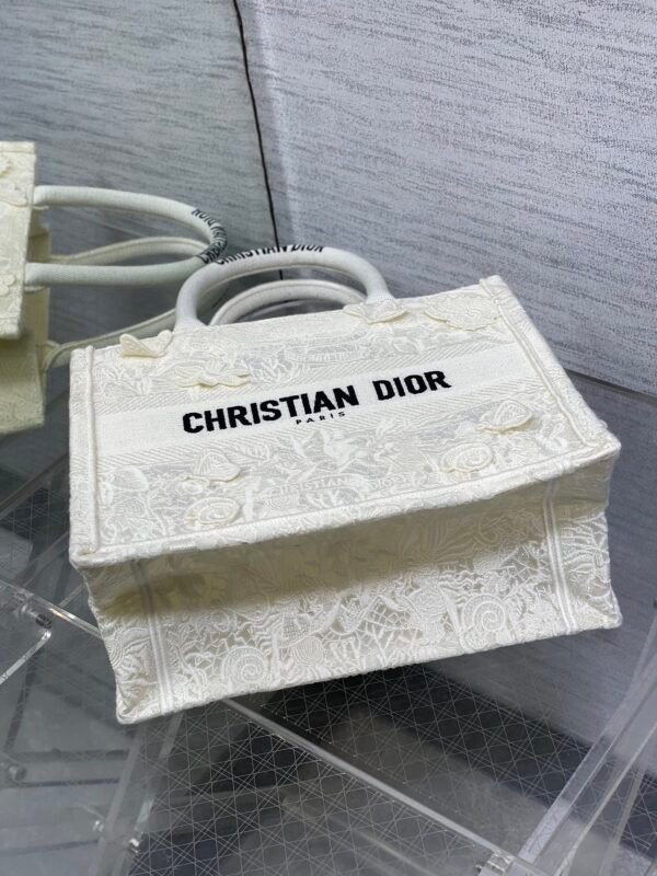 Small Dior Book Tote