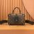 LOUIS VUITTON Petite Malle Souple Bag (CL) M45571