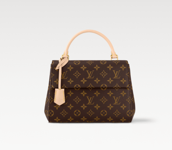 m46372 (1) LOUIS VUITTON Cluny BB m46372