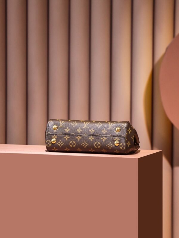 m46372 (6) LOUIS VUITTON Cluny BB m46372