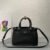 Prada Buckle small leather handbag with double belt