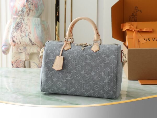 LOUIS VUITTON Speedy Soft 30