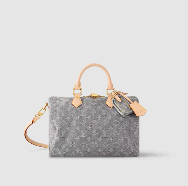 LOUIS VUITTON Speedy Soft 30