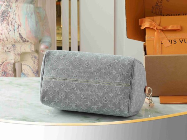 LOUIS VUITTON Speedy Soft 30