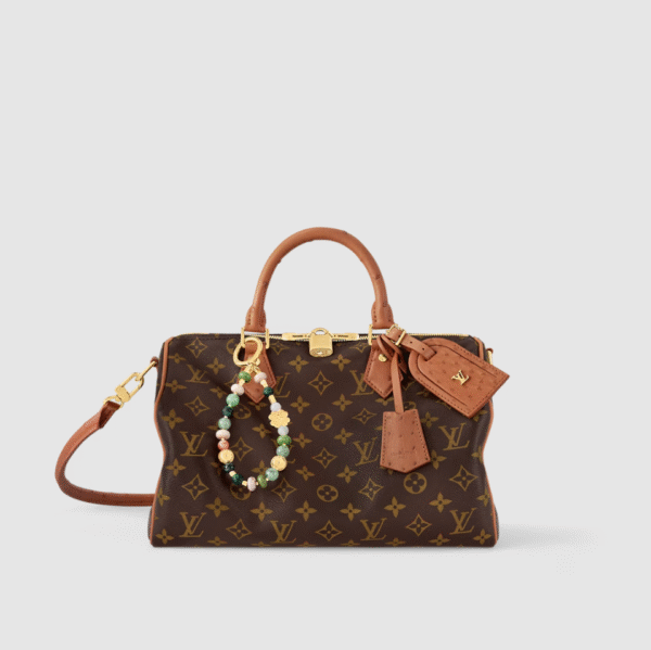 LOUIS VUITTON Speedy Soft 30