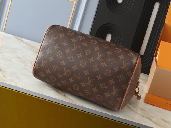 LOUIS VUITTON Speedy Soft 30