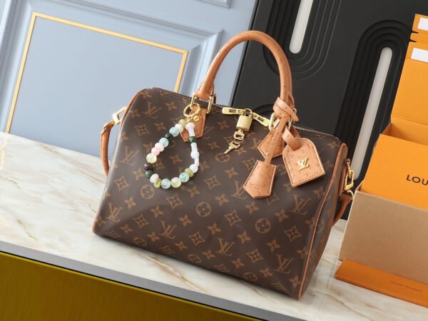 LOUIS VUITTON Speedy Soft 30