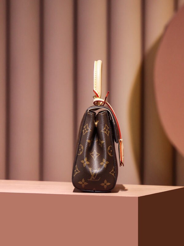 m46055 (3) LOUIS VUITTON Cluny Mini M46055