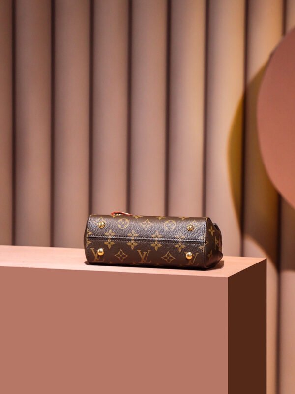 m46055 (6) LOUIS VUITTON Cluny Mini M46055