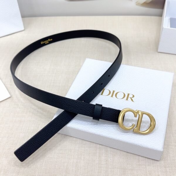 B0445CSKU_M900 (6) DIOR Saddle belt