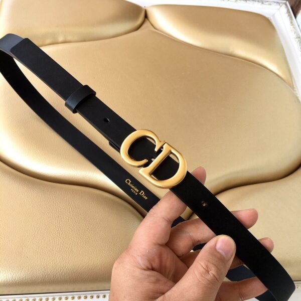 B0445CWGH_M900 (2) DIOR Saddle belt