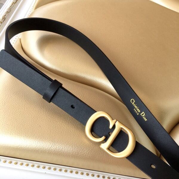 B0445CWGH_M900 (4) DIOR Saddle belt