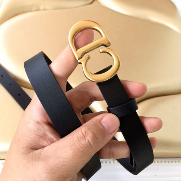 B0445CWGH_M900 (6) DIOR Saddle belt