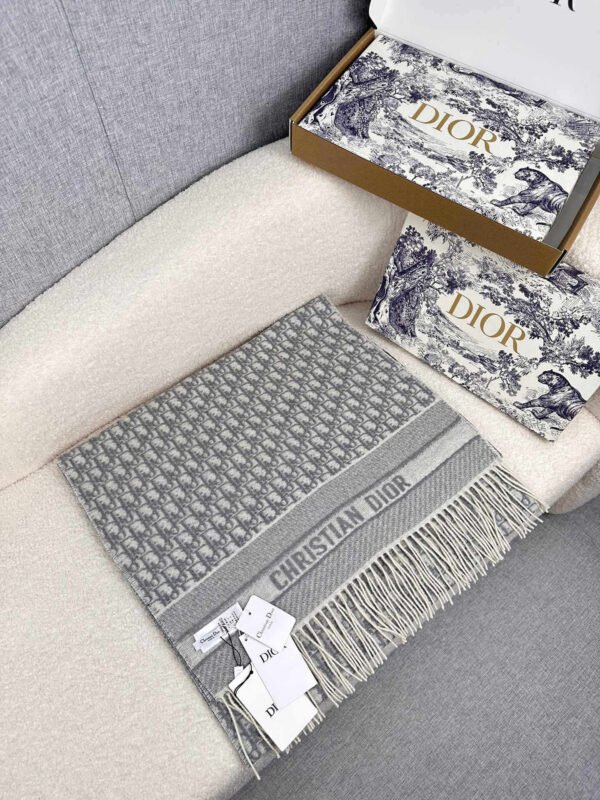 25CDO309I093_C810 (3) Dior printed scarf
