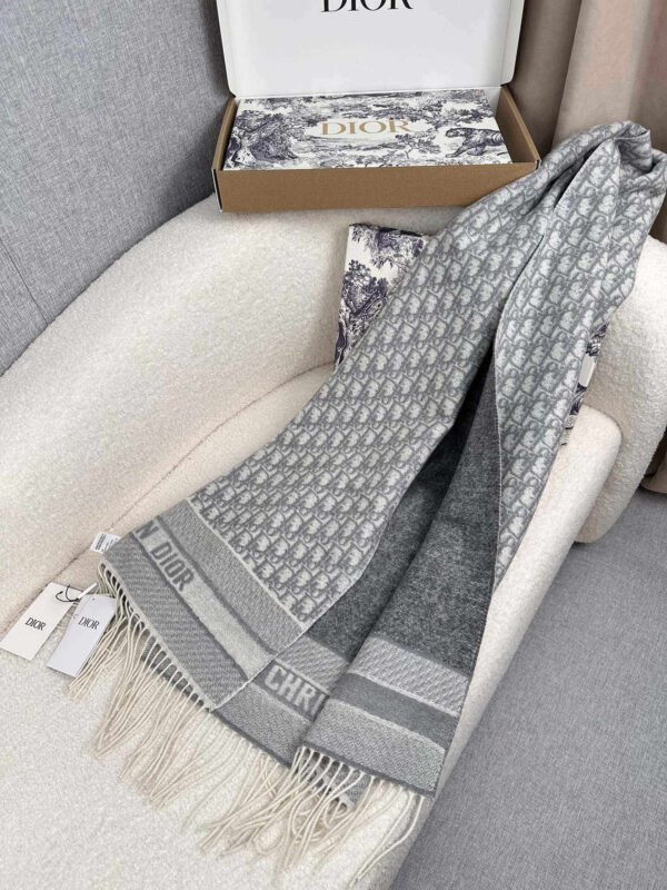 25CDO309I093_C810 (5) Dior printed scarf