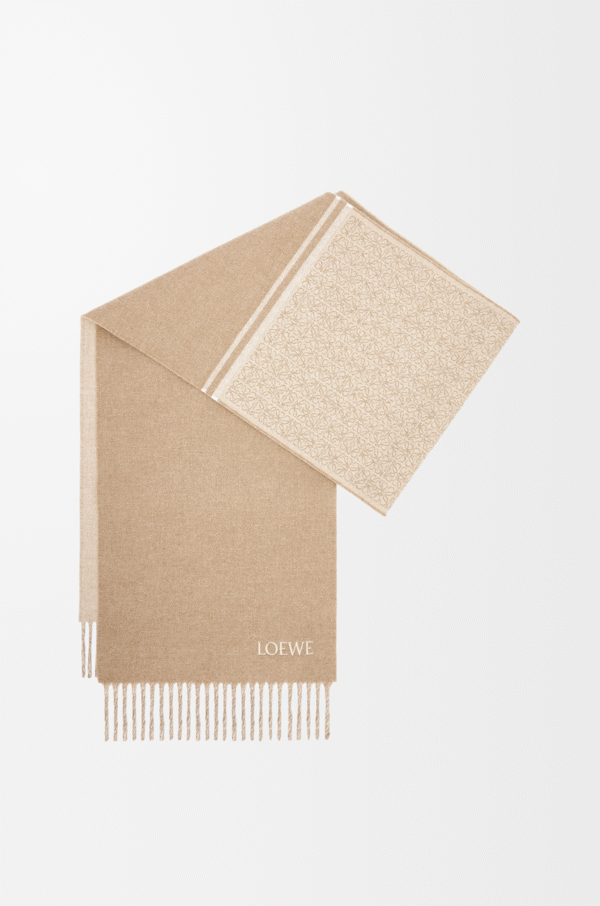 CIL0010793578 (1) LOEWE Scarf in wool and cashmere