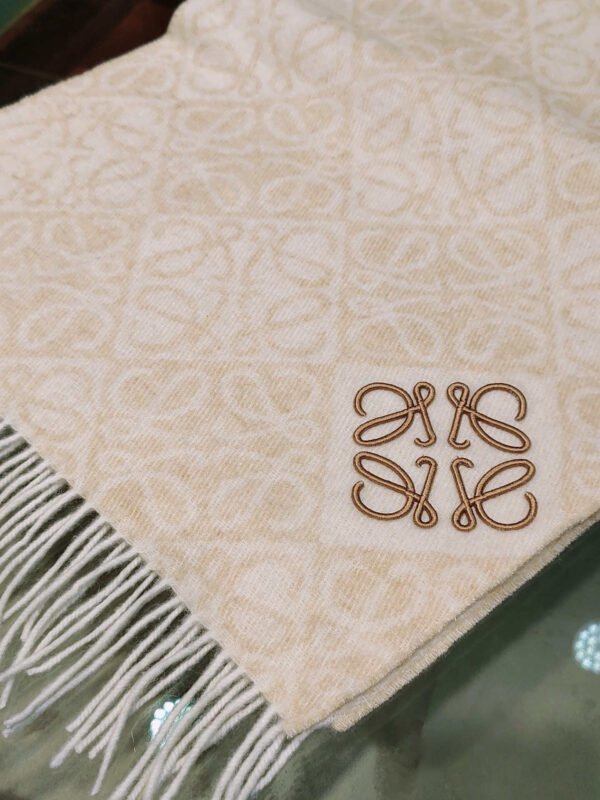 CIL0011189909 (5) LOEWE Anagram scarf in wool and cashmere